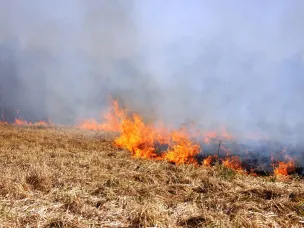 Около 400 граждан и организаций привлекли к ответственности за нарушение пожарной безопасности в регионе с начала года
